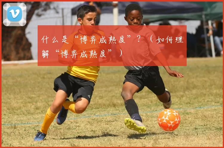什么是“博弈成熟度”？（如何理解“博弈成熟度”）
