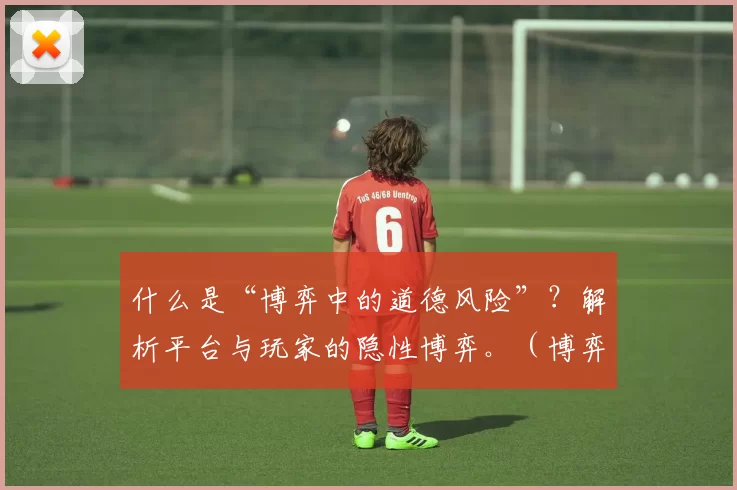 什么是“博弈中的道德风险”？解析平台与玩家的隐性博弈。（博弈论视角下的道德风险：平台与玩家的隐性较量解析）